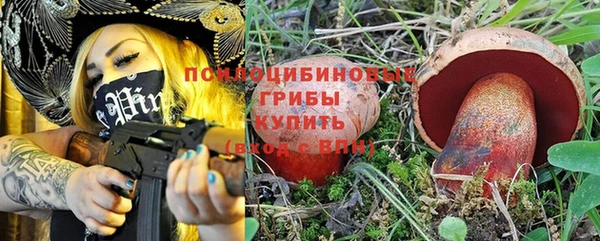 гидра Бугульма