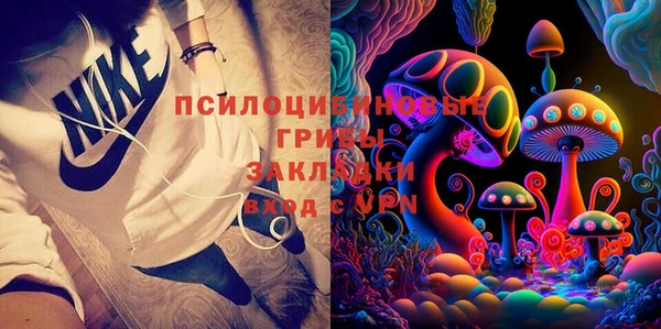 гидра Бугульма