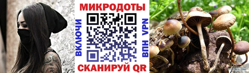 ОМГ ОМГ ТОР Городовиковск Псилоцибиновые грибы ЛСД